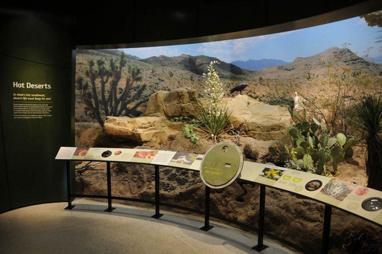 Museum Of Natural History In Utah Dixon Studios, LLC